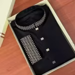 New Collection-Premium Panjabi
